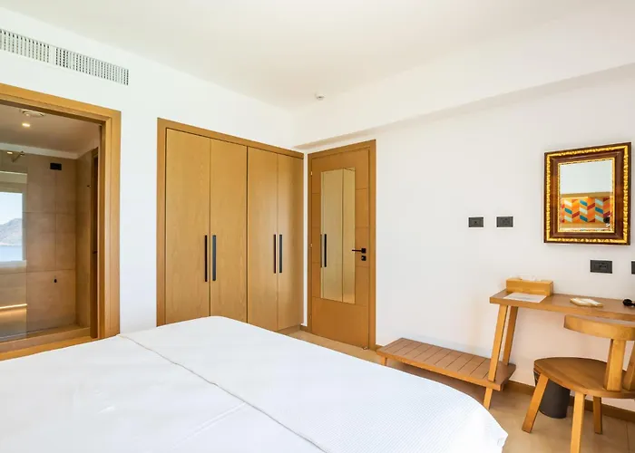 Sophid Wellness Karpathos 호텔